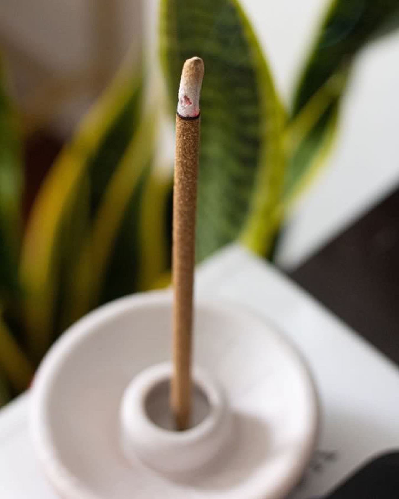 WHITE MULTI-PURPOSE INCENSE HOLDER